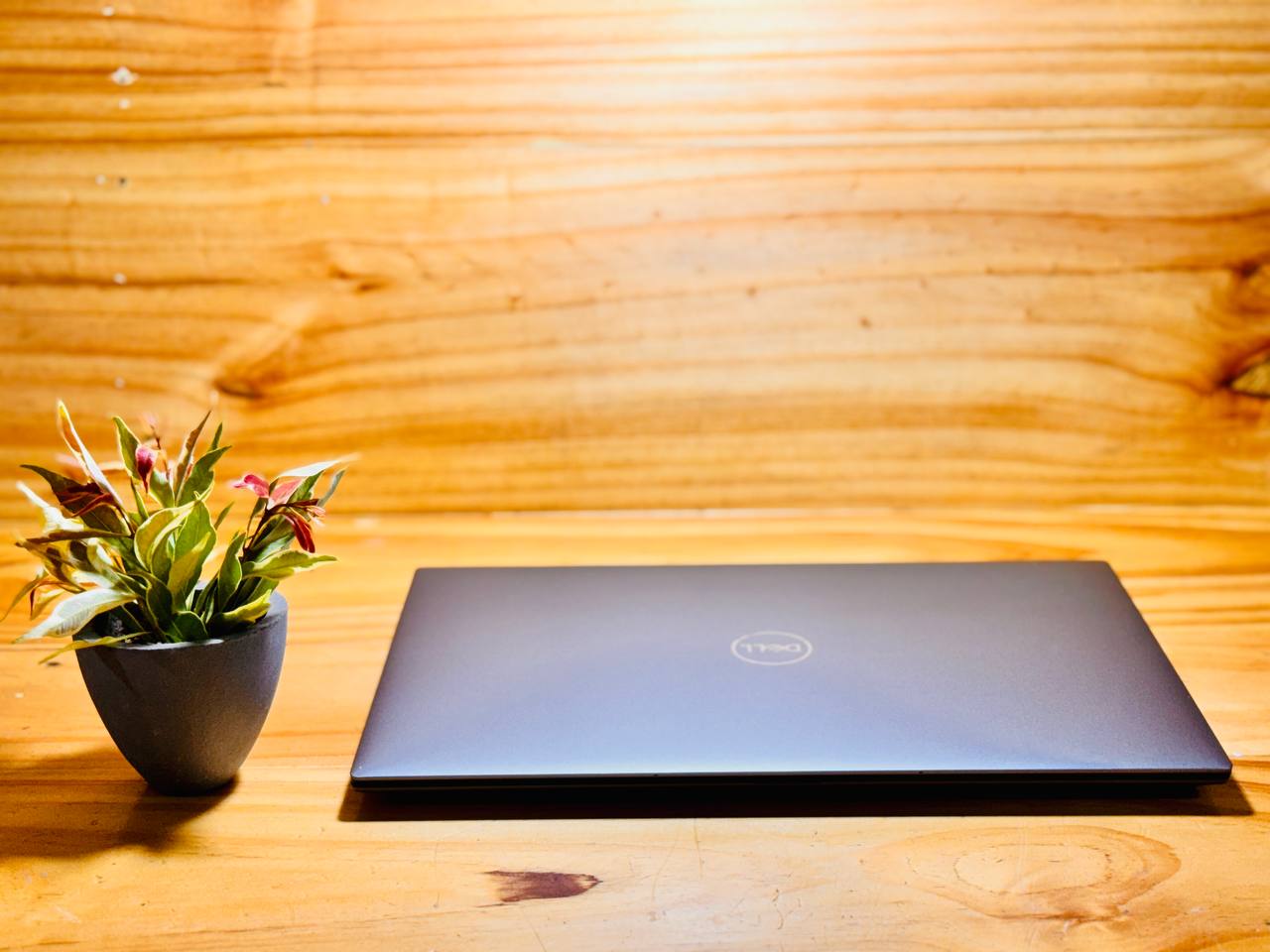 Dell Precision 5560 Laptop - 15.6" UHD+ (3840 x 2400) HDR400 Touch Display- 2.4 GHz Intel Core i7 8-Core (11th Gen) - 1TB SSD - 32GB - Quadro T1200 4GB - Image 5